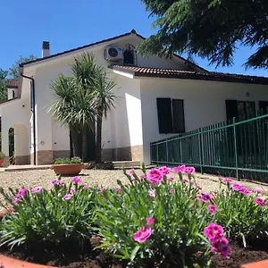 Zac House Frühstückspension